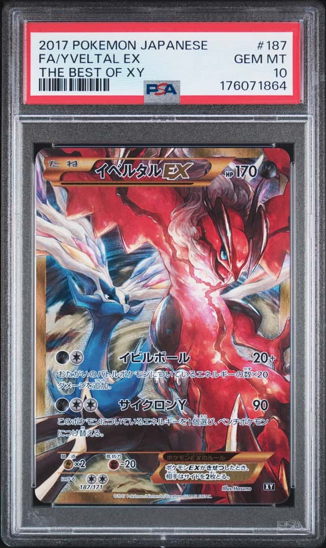 Yveltal EX