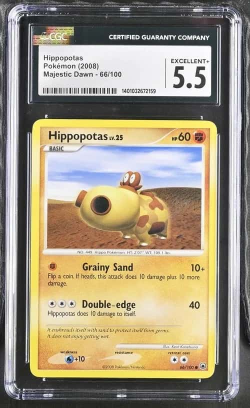 Hippopotas