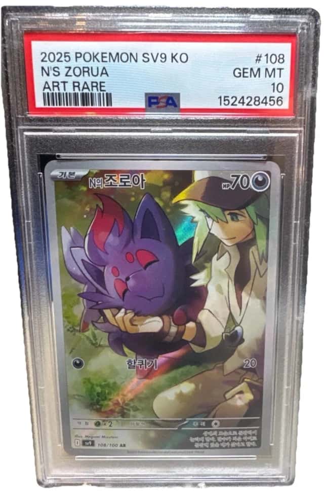 N's Zorua