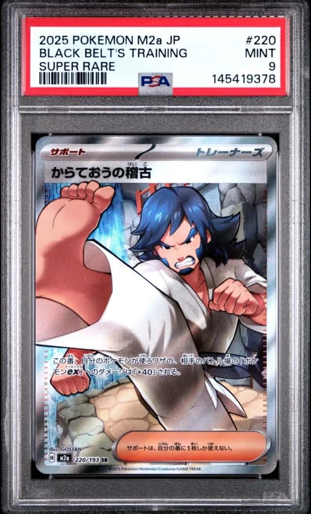 Black Belt's Training