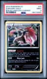 Zoroark