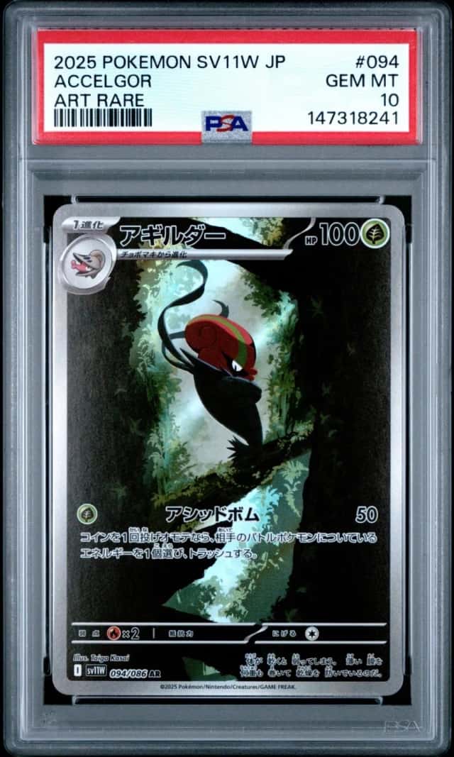 Accelgor