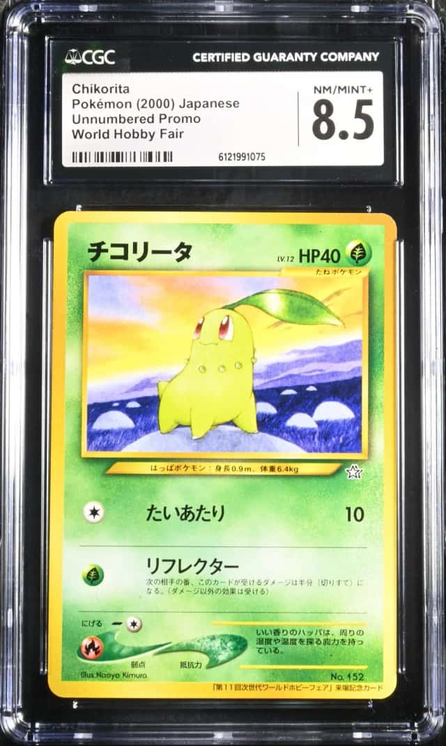 Chikorita
