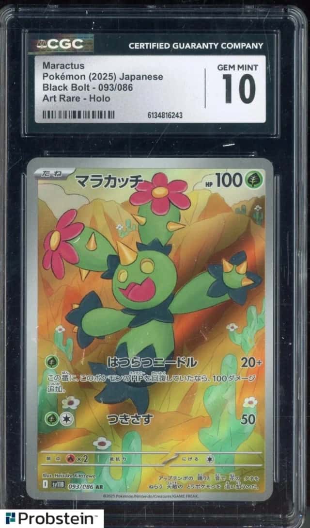 Maractus