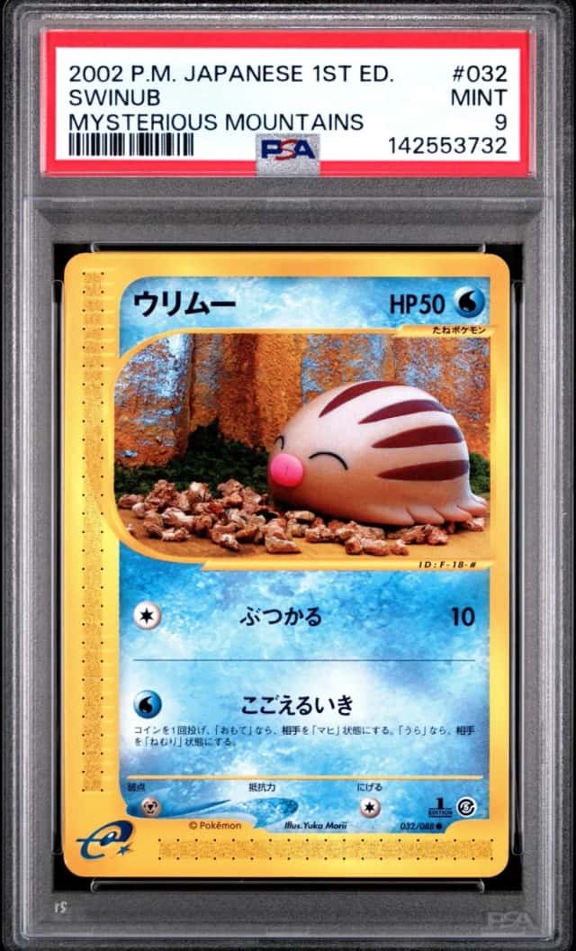 Swinub