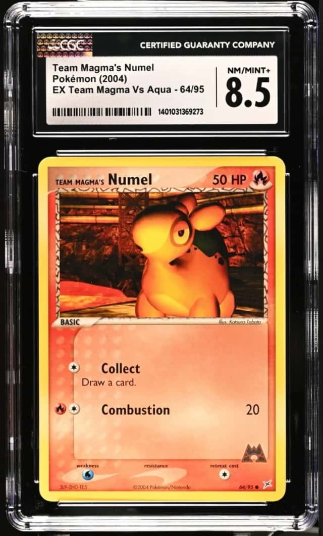 Magma's Numel