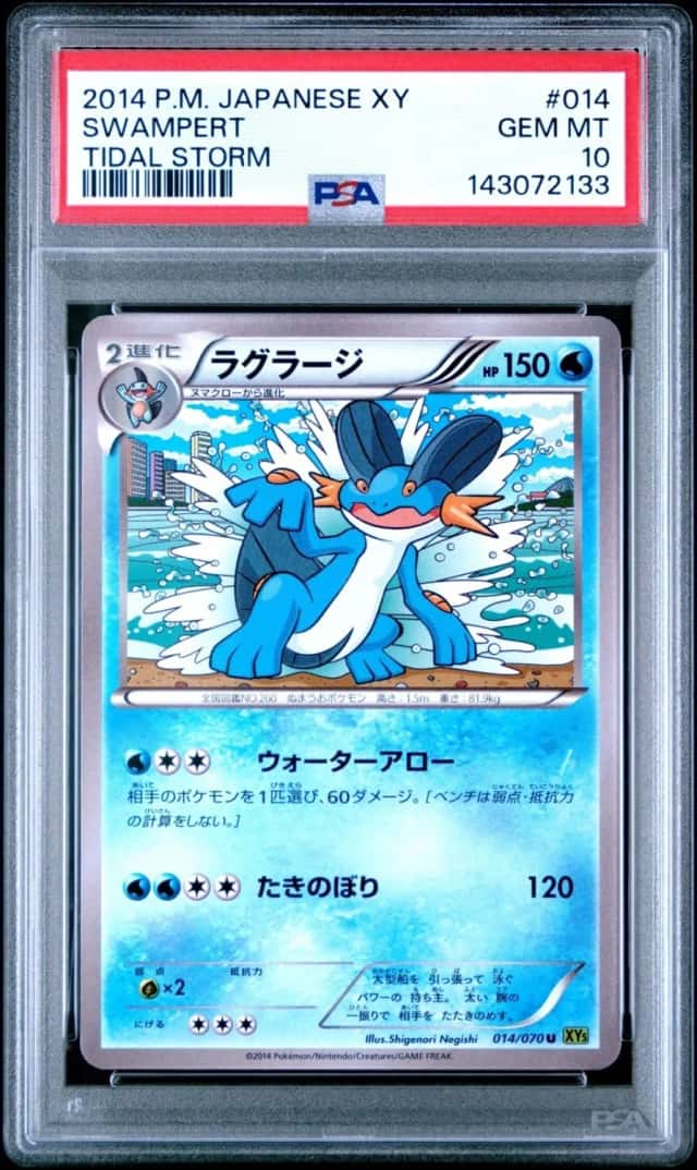 Swampert