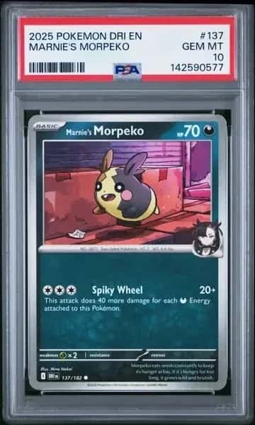 Marnie's Morpeko