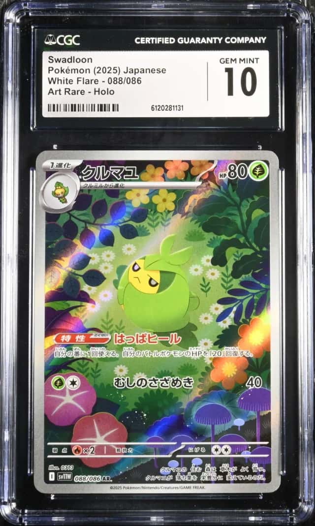 Swadloon