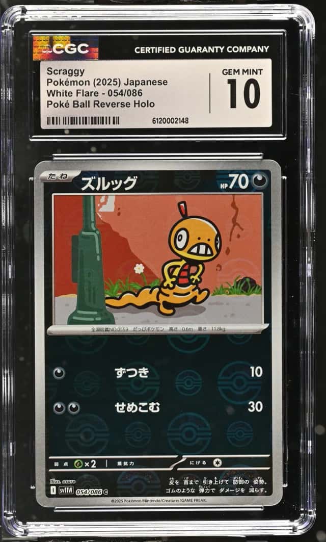 Scraggy