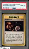 Mysterious Fossil