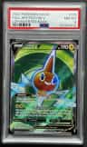 Rotom V