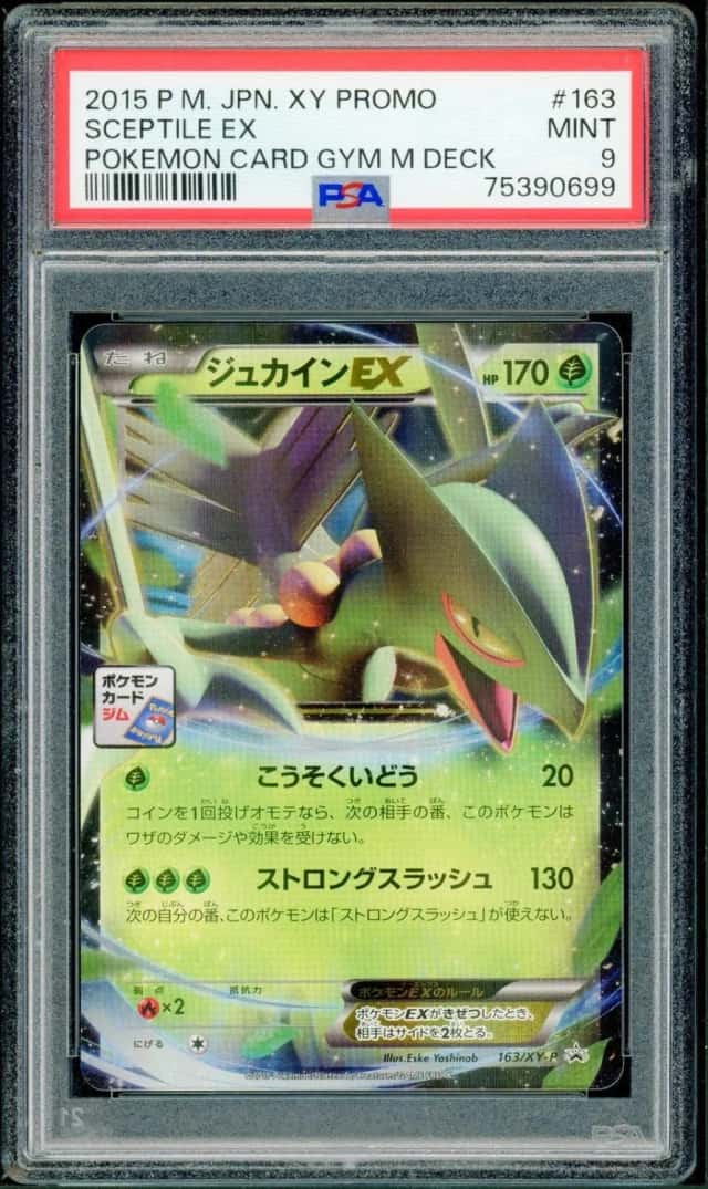 Sceptile EX