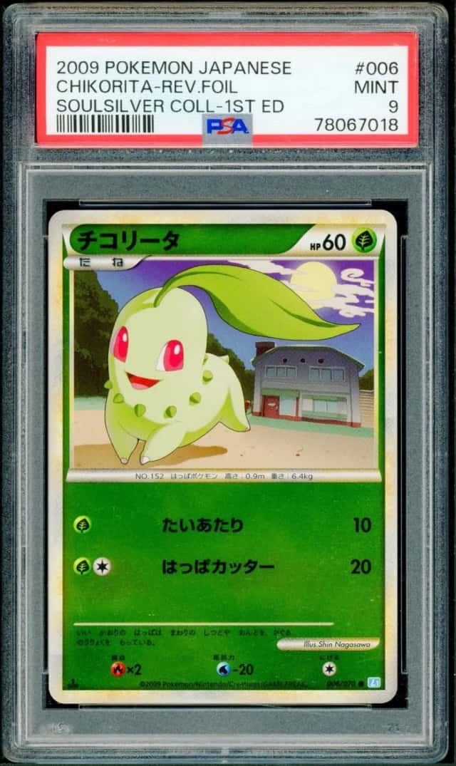 Chikorita