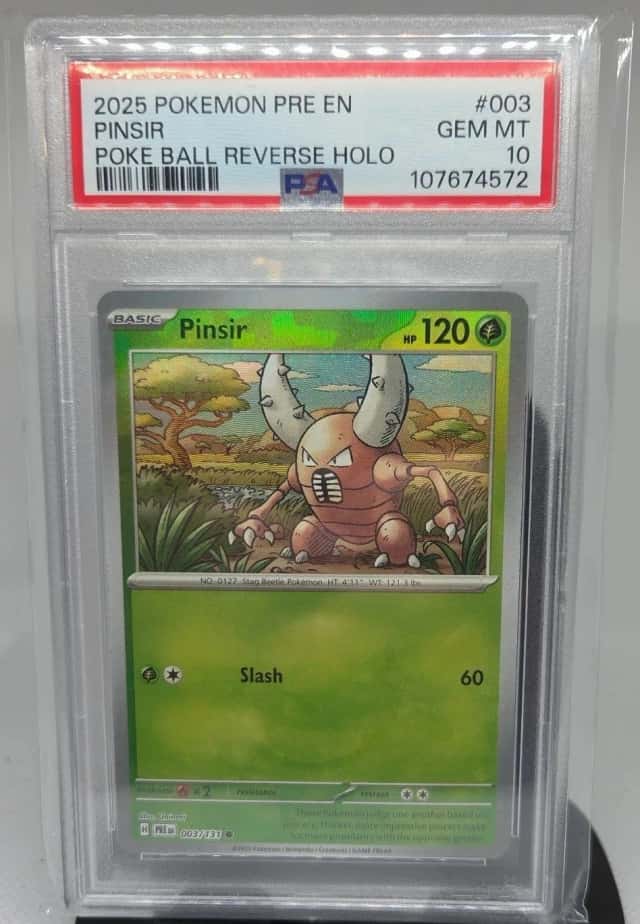 Pinsir