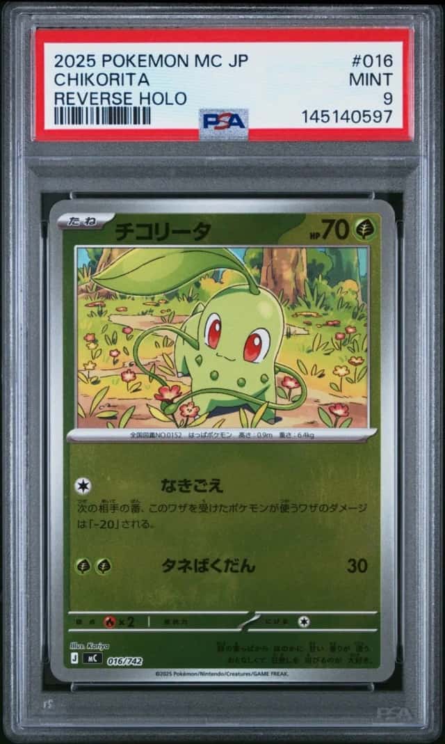 Chikorita