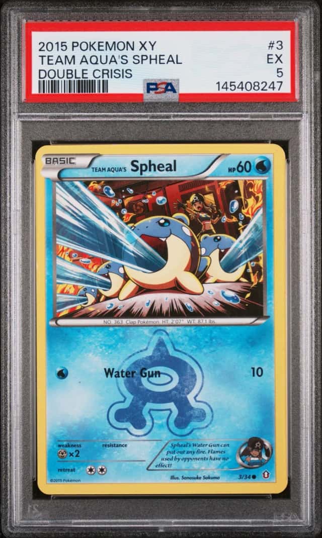 Team Aqua's Spheal