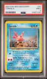 Corsola