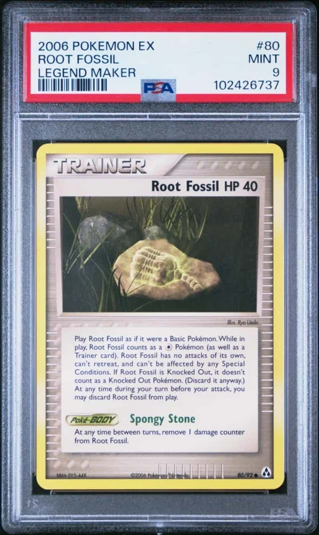 Root Fossil