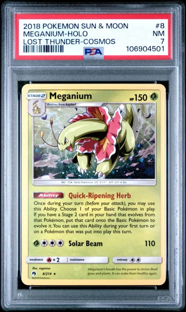 Meganium