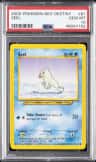 Seel