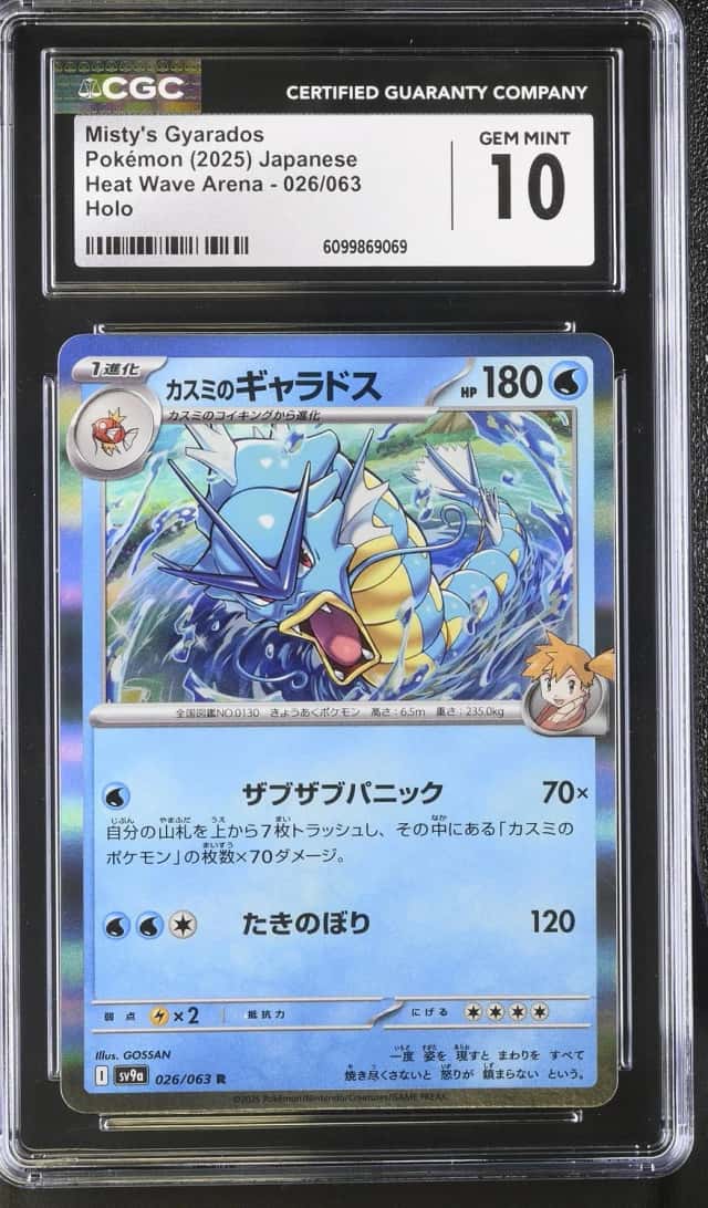 Misty's Gyarados