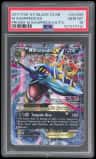 M Sharpedo Ex