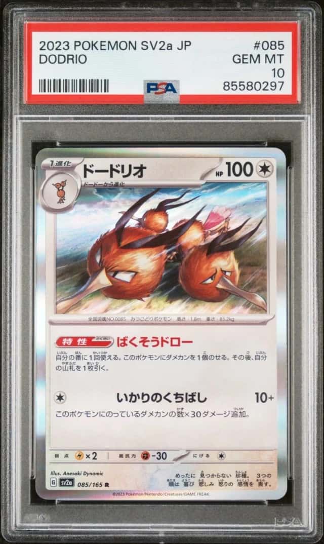 Dodrio