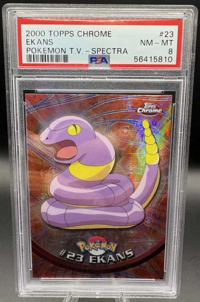 Ekans