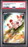Scorbunny