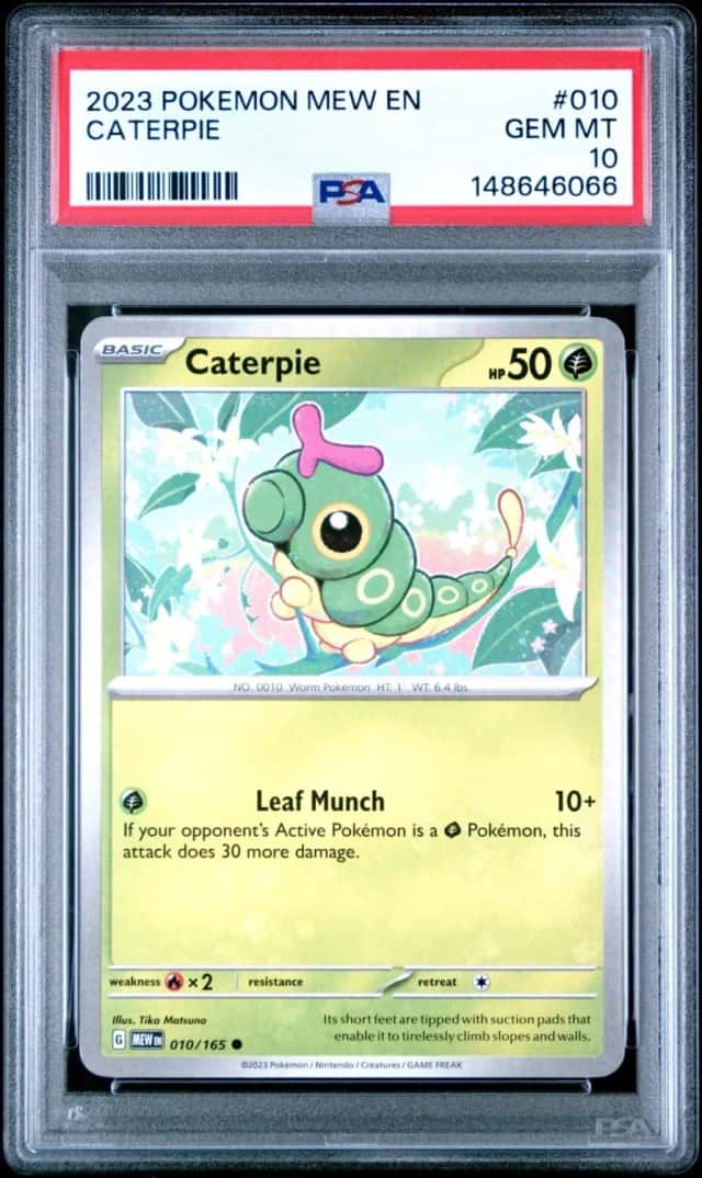 Caterpie