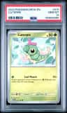 Caterpie