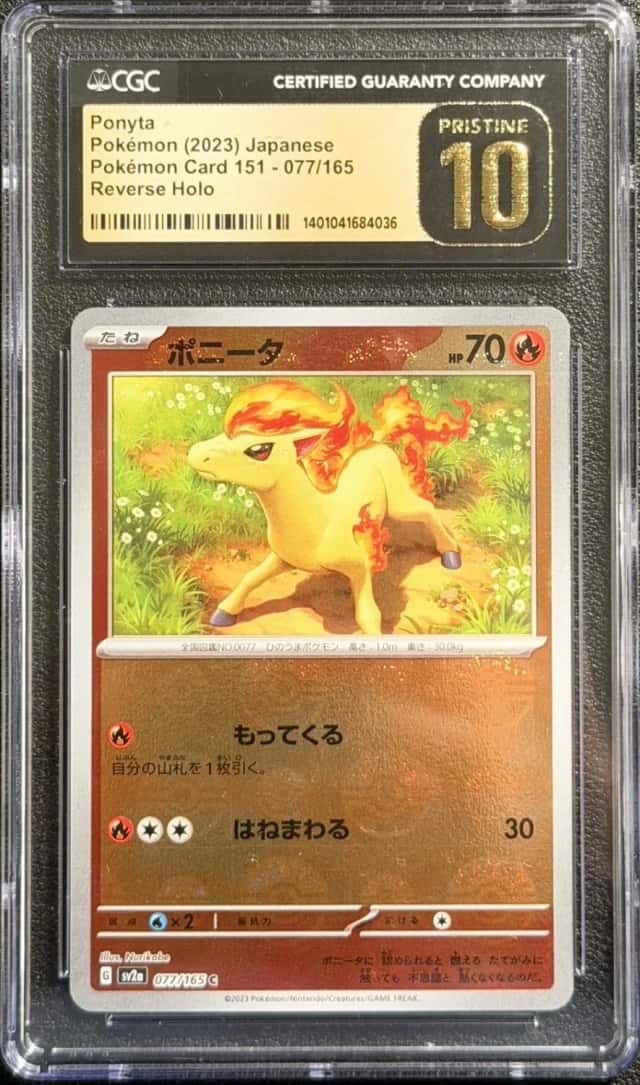Ponyta