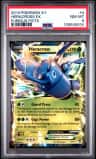 Heracross Ex