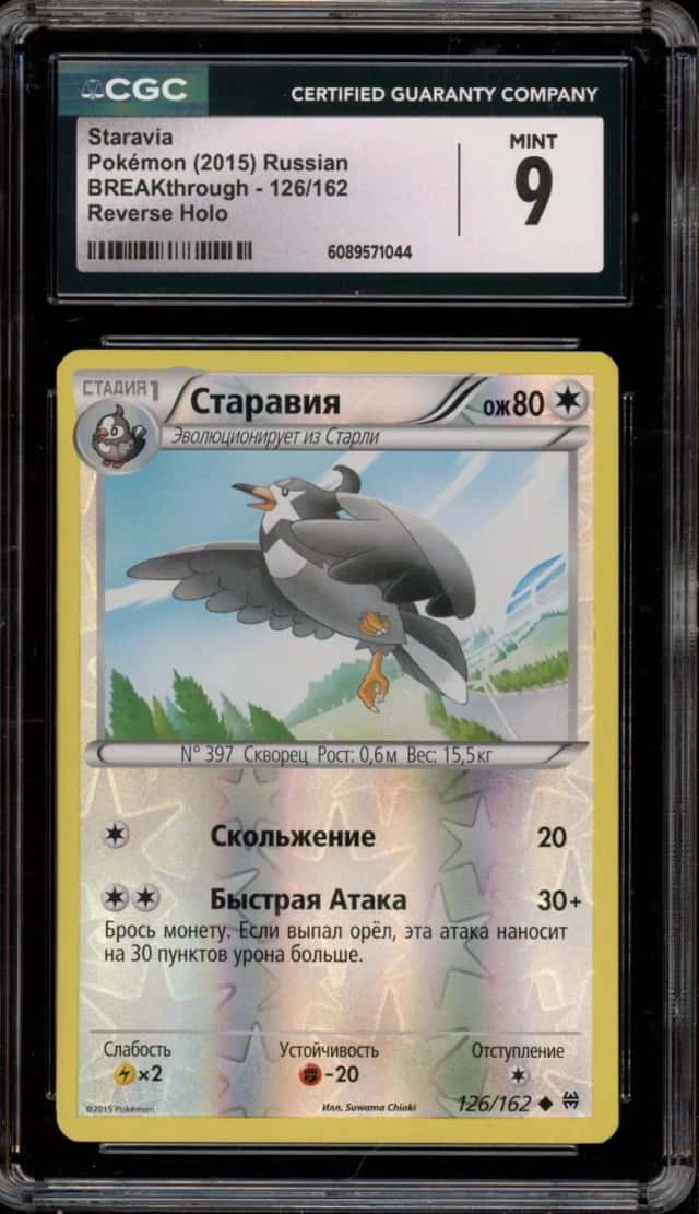 Staravia