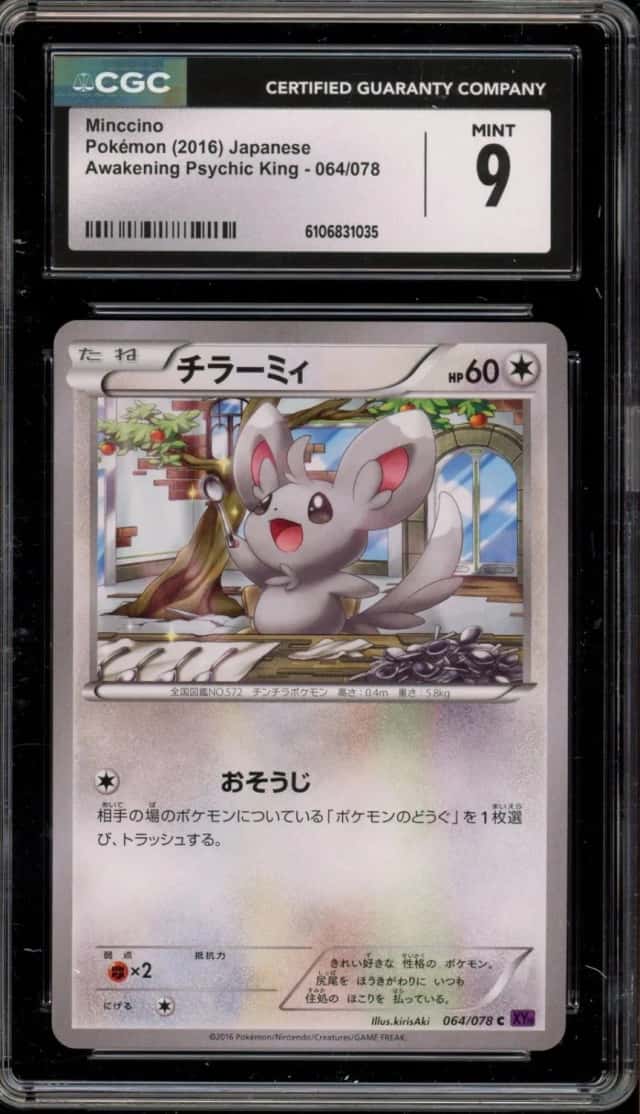 Minccino