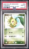 Chikorita