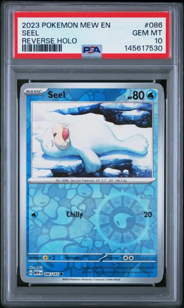 Seel