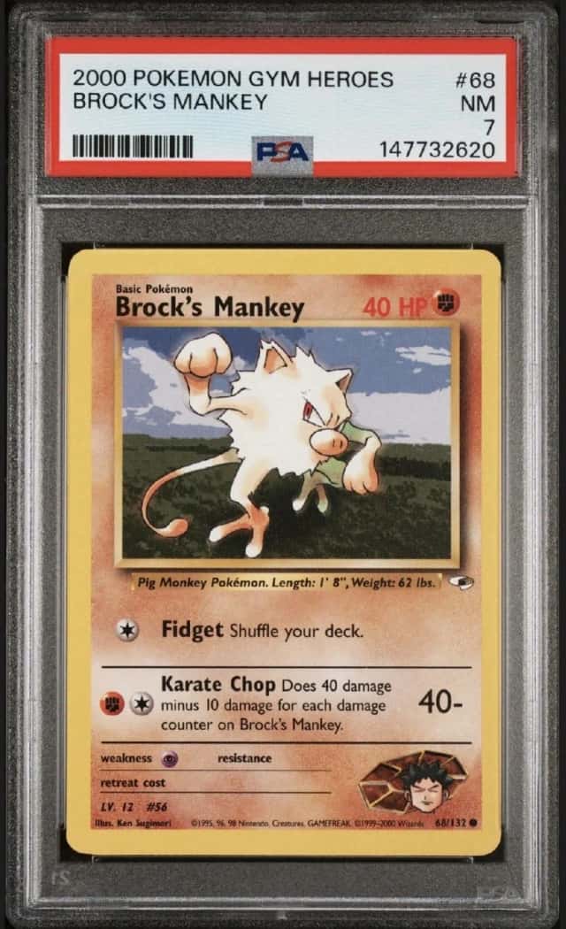 Brock's Mankey