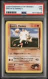 Brock'S Mankey