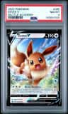 Eevee V