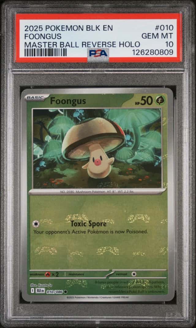 Foongus