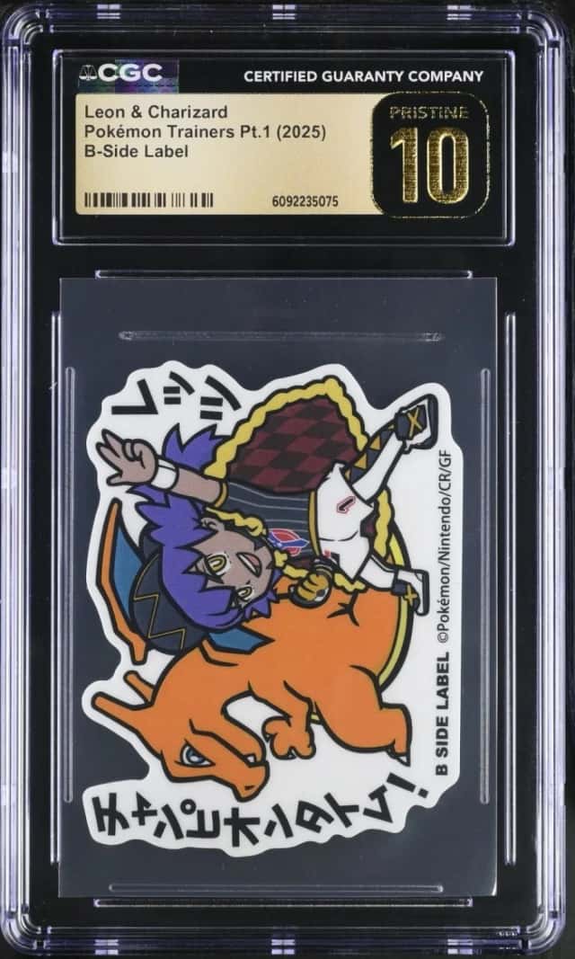 Leon & Charizard