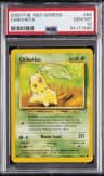 Chikorita