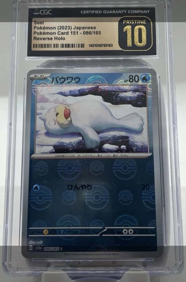 Seel