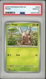 Pinsir
