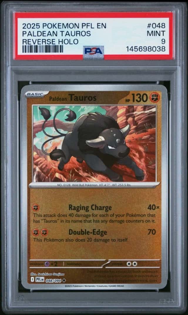 Paldean Tauros