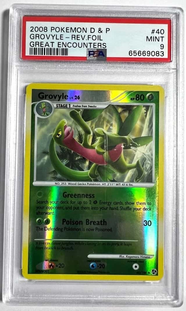 Grovyle