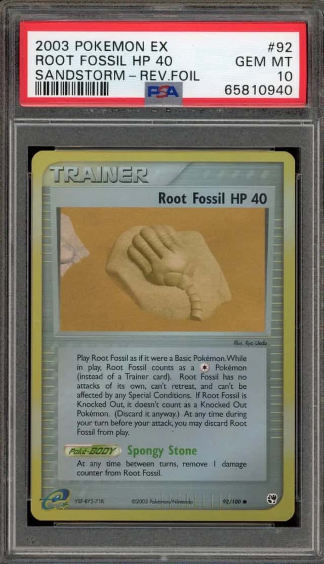 Root Fossil