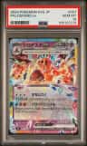 Palossand Ex